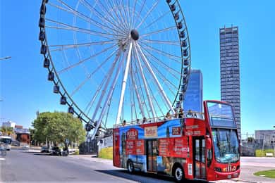 Puebla: Tour con paradas libres de la ciudad y Acuario Michín