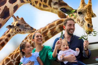 Puebla Africam Safari Park, Live an Unforgettable Adventure!