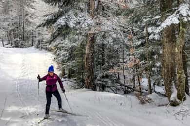 De Gardiner: excursão guiada de esqui cross-country em Yellowstone
