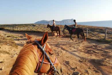 Alghero: Guided Horseback Ride at Lake Baratz & Porto Ferro