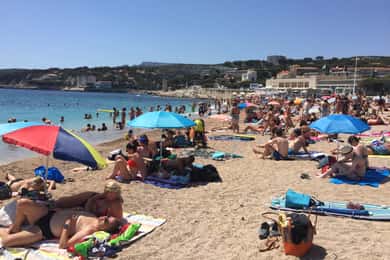 Cassis, Bandol, Le Castellet Wein Tour: Klippen und Weinberge