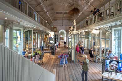 Bilet wstępu do muzeum ARTIS-Groote
