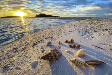 Marco Island: 2 Private Hour Sunset Boat Tour