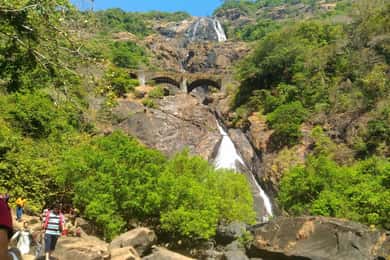 Goa: Dudhsagar vattenfall och kryddgårdstur med jeepsafari