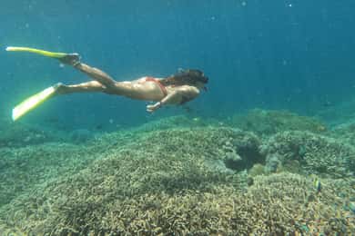 From Bali: Lembongan & Penida 2-Day Tour with Snorkeling