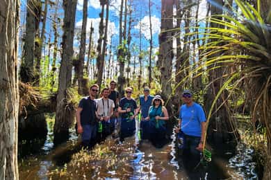 From Naples: Everglades w/ a Wet Walk, 2 Boat Trips & Lunch!