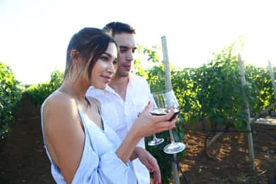 De Biograd : Dégustation de vin et d'huile d'olive à Ražnjevića Dvori