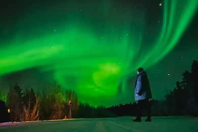 Från Rovaniemi: Lapplands norrskensjakt med grillning