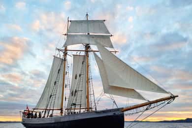 Baía das Ilhas: Cruzeiro à vela ao fim da tarde