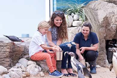 Bournemouth Oceanarium Ticket