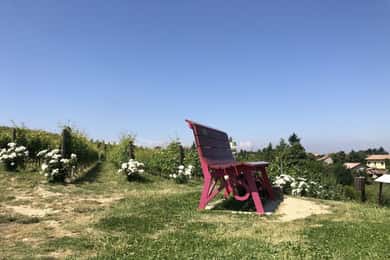 Costigliole d'Asti: Guided Walking Tour with Wine Tasting