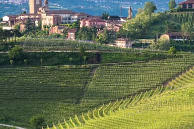 Neive: Cykeltur fra Neive til Barbaresco: Cykeltur fra Neive til Barbaresco