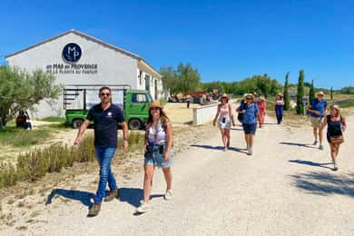 Tour durch die Lavendelfelder und die Destillerie zwischen Nîmes und Arles