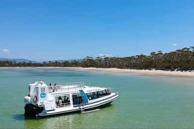 From Hobart: Day Tour to Maria Island with Bus Connection