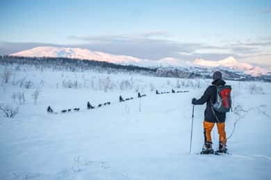 Från Tromsö: Guidad snöskovandring med Husky och besök i Husky Camp