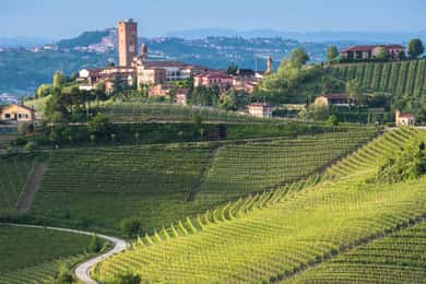 Fra Neive: Guidet E-Bike tur til Barbaresco og Treiso