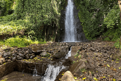 Kingstown: Cascading Dark View Falls and Beach Tour