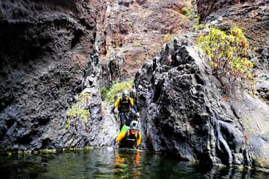 Tenerife: Los Carrizales vandklatringstur