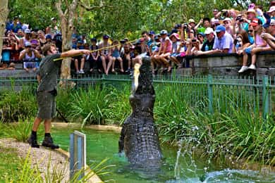 Australian Reptile Park Day Pass - kl. 9-17