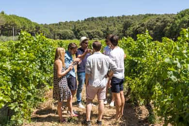 Aix-en-Provence'dan: Şarap ve Luberon Köyleri Tam Günlük Tur