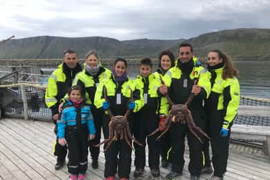 Honningsvåg: North Cape King Crab & Arctic Wildlife Safari