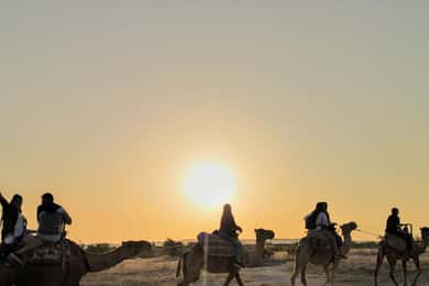 Cappadocia: Sunset or Sunrise Scenic Camel Ride
