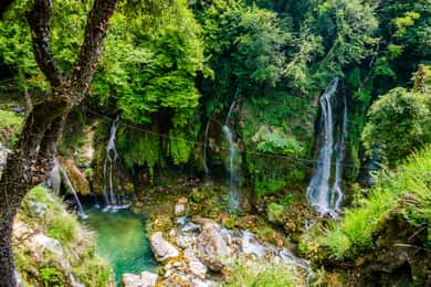 From Nice: Flower Fields & Saint Cassien Lake Full-Day Trip