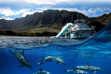 Oahu: Dolphin Watching & Turtle Snorkeling with Waterslide