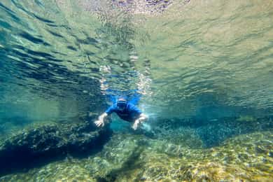San Terenzo: Portovenere Natural Park Snorkeling Trip