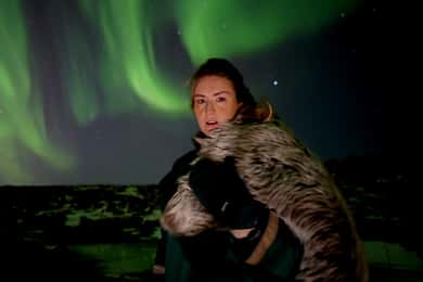 Reykjavik: Aurora Minibus mit Profi-Fotos & kostenloser Wiederholung