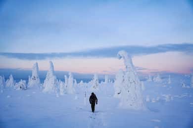 Rovaniemi: Dagsudflugt til Riisitunturi Nationalpark med frokost