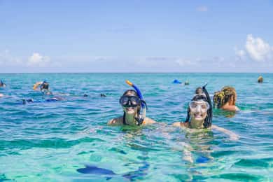 Caye Caulker: Hol Chan Marine Reserve 7-Stop Snorkeling Tour