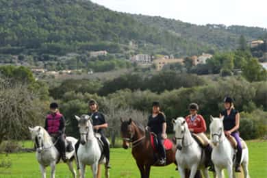 Mallorca: Guided Horseriding Tour of Randa Valley