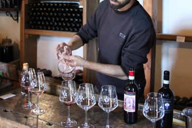 Siena: Clase de Cata de Vinos Clásicos de la Toscana con Aperitivo