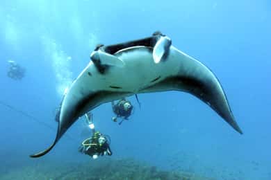 Santa Maria: Advance Open Water Diver - PADI or SSI Course