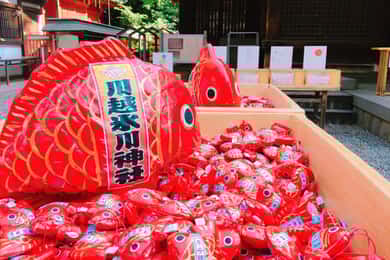 From Tokyo: Round-Trip Fare to Kawagoe City