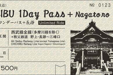 From Tokyo: Seibu Railway 1 Day Pass and Nagatoro