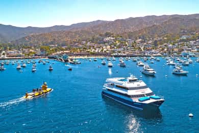 Newport Beach: Färjebiljett till/från Catalina Island