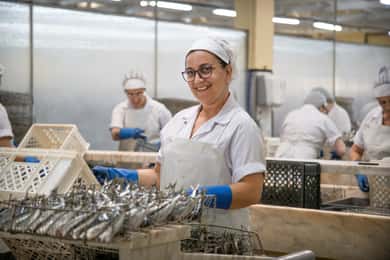 Conservas Pinhais Fabrik Tour
