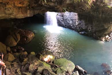 Brisbane: Springbrook och Mt Tamborine Glow Worm och Skywalk