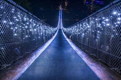 Vancouver: Attractions by Twilight Guided Tour with Dinner