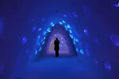 Levi: Udflugt til Lapland Snow Village med adgangsbilletter