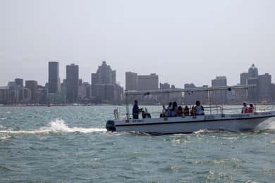 Durban: 1-Hour Boat Cruise from Wilson's Wharf