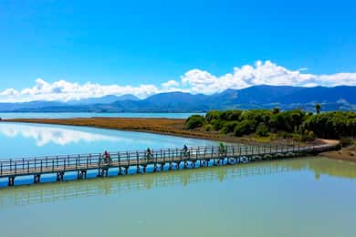 Nelson to Mapua: Full-Day Cycling Self-Guided Adventure