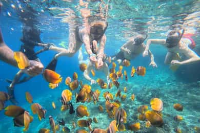 Bali: Snorkeling Trip to Blue Lagoon with Private Pickup Car