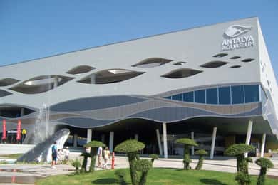 Side şehrinden: Antalya Akvaryum Tam Gün Gezisi