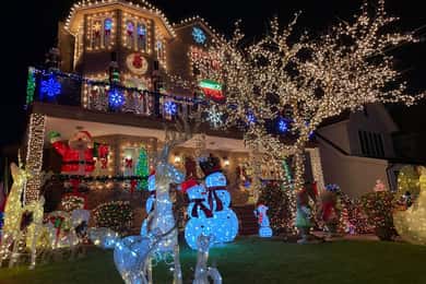 NYC | French guided tour of Christmas in Brooklyn