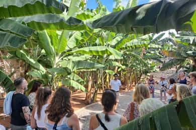 Gran Canaria: Bananenwelt Führung & Verkostung
