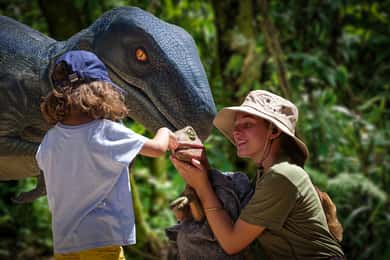From Alcúdia: Dinosaurland and Hams' Caves Half-Day Trip