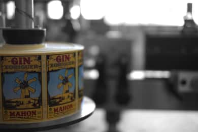Mahón: Gin Distillery Tour with Tasting & Appetizers
